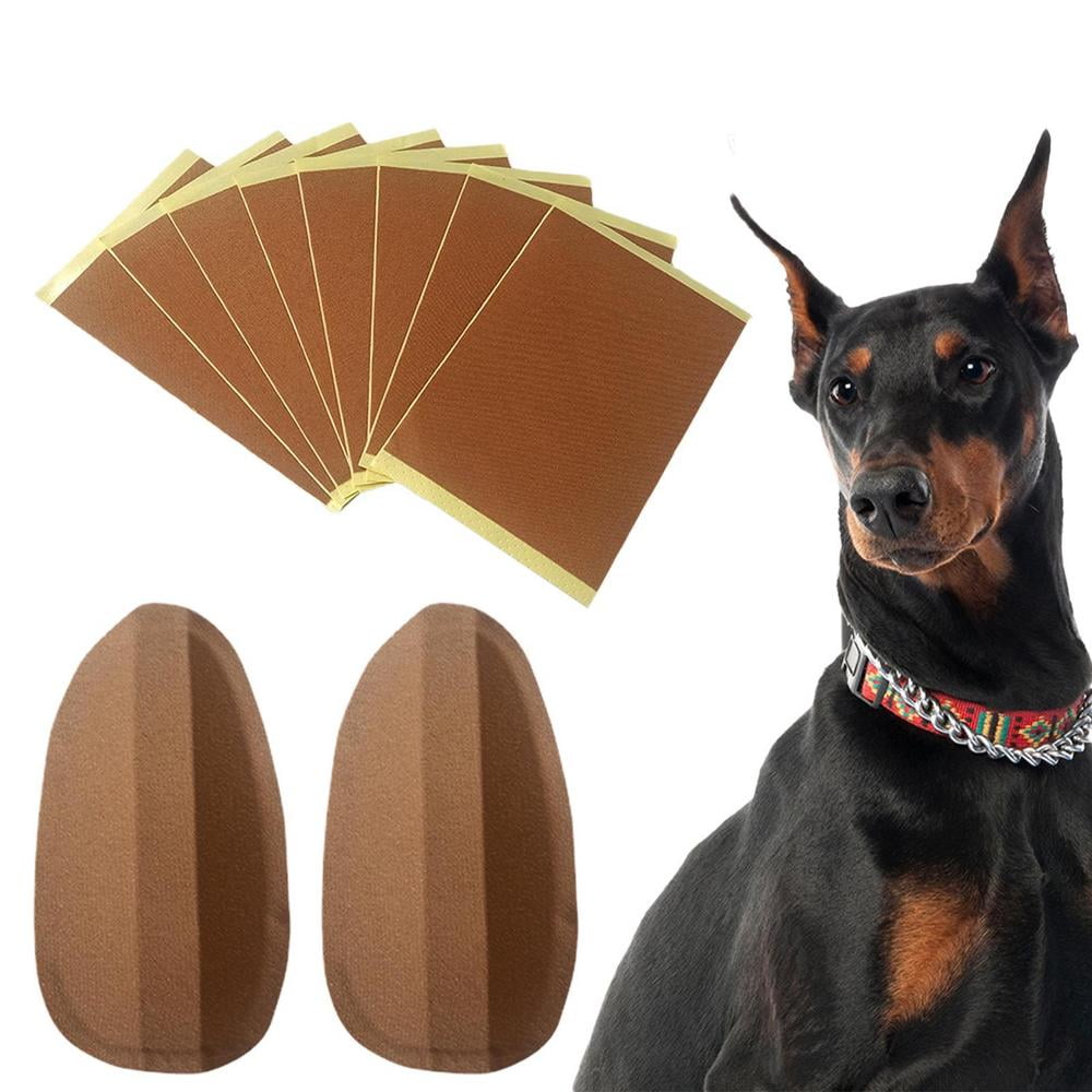 Dog Ear Posting Kit Fixed Doberman Dog Ear Posting Kit Support Ear