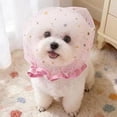 thumbnail image 1 of Dog Eating Prevention Head Cover, Anti Scavenging Dog Snood with Breathable Mesh, Small Dog Face Guard for Outdoor Walks, Prevents Ground Foraging, Pet Anti Eating Hood for Anxiety Relief, 1 of 9