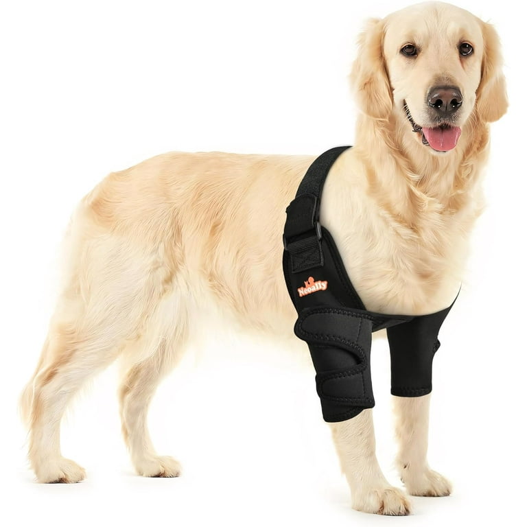 Canine elbow pads discount