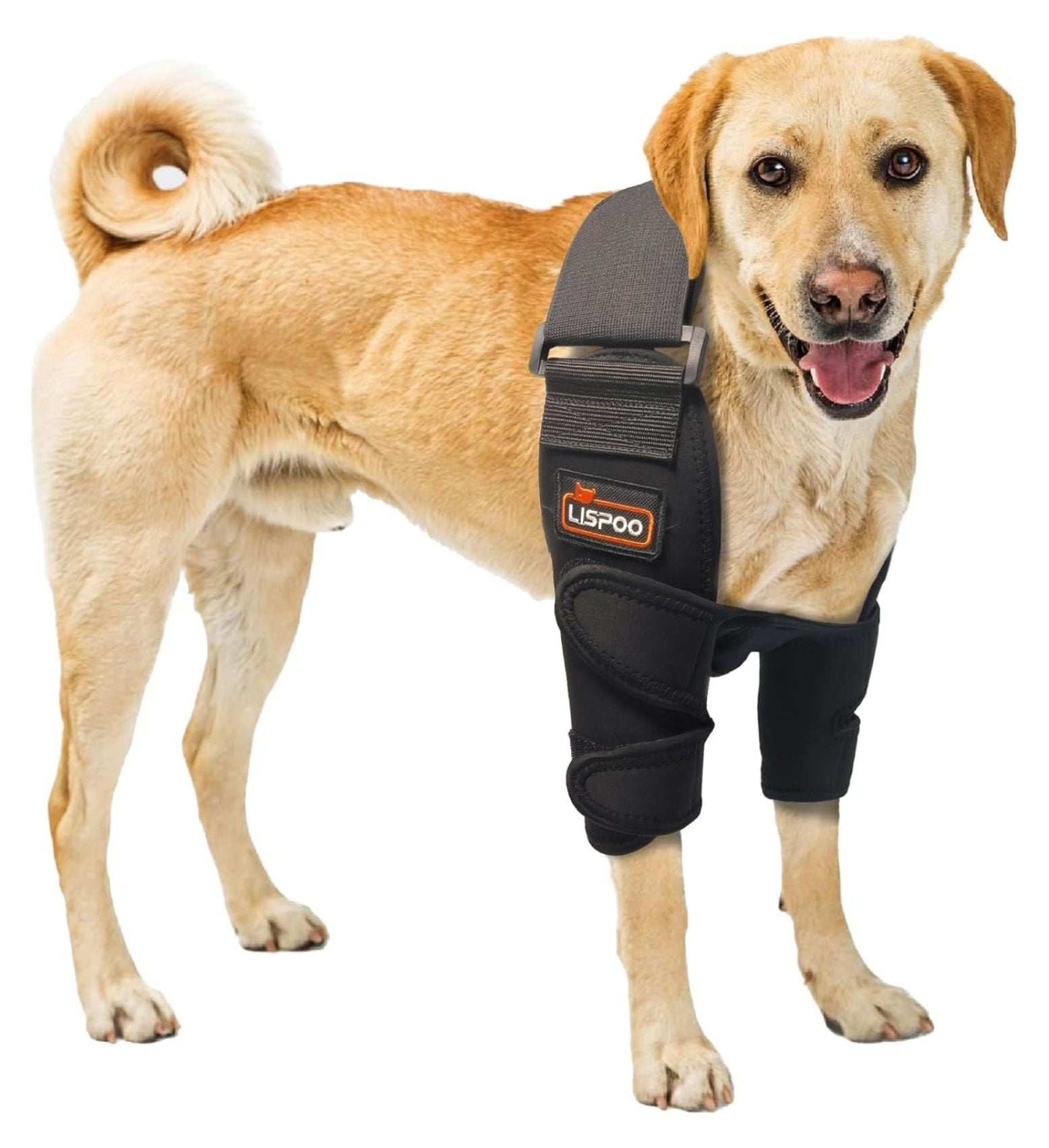 Dog Elbow Brace for Shoulder & Front Leg, Canine Elbow Wrap for