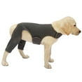 thumbnail image 1 of Dog Elbow Brace Sleeve for Injured Limb Promotes Comfort Rear Leg Wrap Pet Rear Leg Wrap Joint Protector Dog Sleeves, 1 of 8
