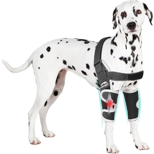 Dog Elbow Protector for Pets Elbow Dysplasia, Shoulder Dislocation - Offers Elbow Support, Reflective Pet Recovery Suit Taper Collar Alternative, Helps Wound Healing, Prevents Licking, XXL