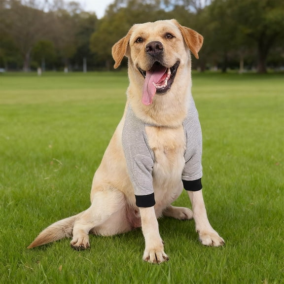 Dog Elbow Protector & Recovery Sleeve for Medium and Large Dogs - Adjustable Front Leg Brace with Soft Pads for Joint Injuries, Hygroma, and Warmth, Cone Collar Alternative to Stop Licking Wounds