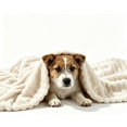 Dog Emotional Support Blanket Yellow,Soft Faux Rabbit Fur Polyester ...