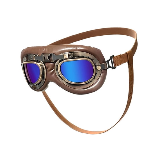 Dog Eye protect Glasses Soft Padding Windproof Goggle Beach Use