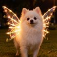 thumbnail image 1 of 1Pc Led Light up Dog Wings Costume Glow in Dark Pet Costume Adjustable Safety Harness Outfit for Dogs Halloween Christmas Party,by JASKFLY, 1 of 8