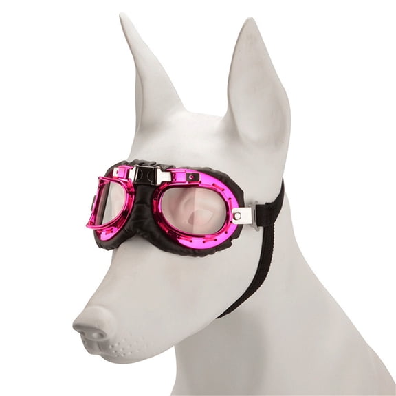 Dog Fashion Sunglasses Lovely Vintage Pet Sunglasses Reflection Eye Wear Glasses Vacations Dog Accessories