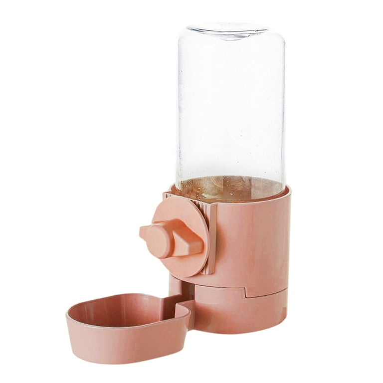 Timed rabbit feeder hotsell