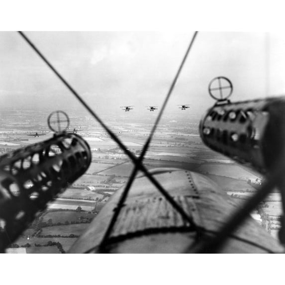 Dog Fight History (24 x 18)