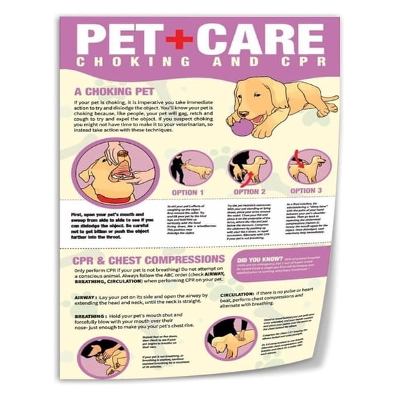 Dog First Aid Chart Set of 2 CPR and Airway Obstruction Posters Quick Reference Guide for Pet Owner Education