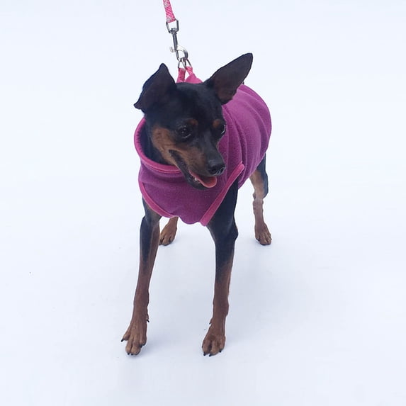 Dog Vest Apparel Sleeveless Pullover Doggie Jacket for Dog and Cat with Leash Hole and Button Design(Hot Pink,XL)