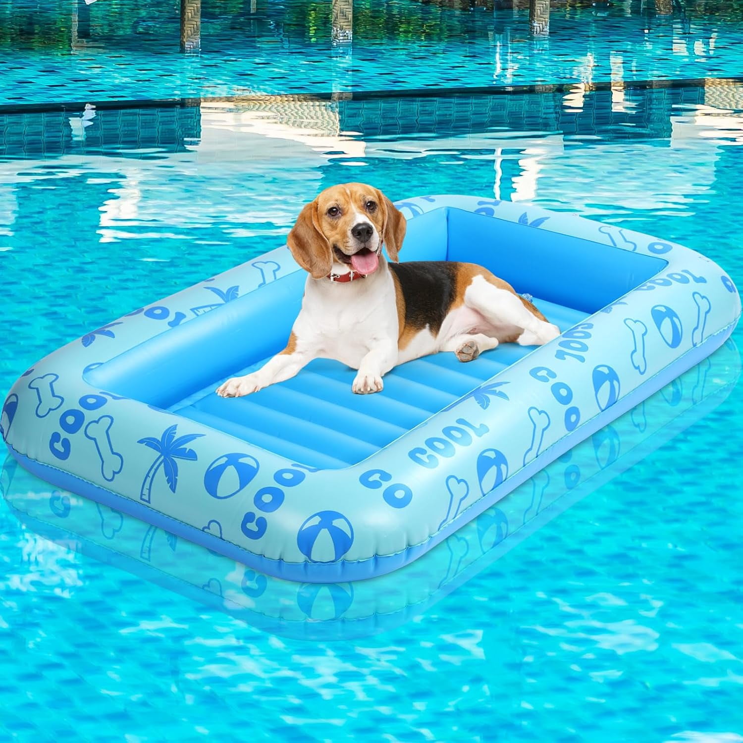 Dog Float for Summer Pool 60