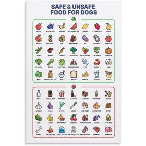 Dog Food Guide Poster Safe And Toxic Food List Poster Wall Art for Kitchen Living Room Bedroom Decor