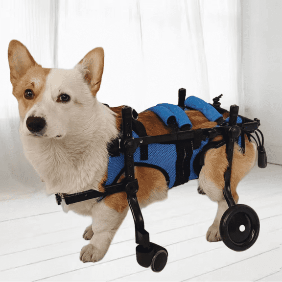Dog Four-Wheeled Wheelchair Wheelchairs Disabled Paralyzed Rehabilitation Dog Elderly Mobility Aid Car Teddy Pet Hind Leg Suppor