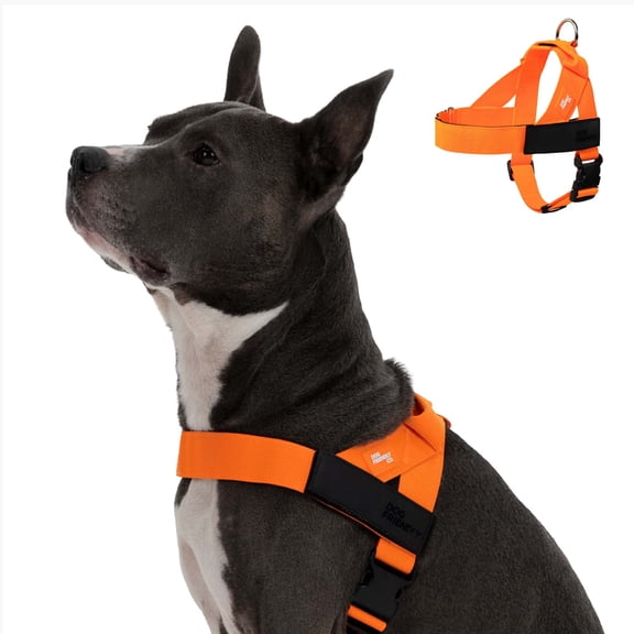 Dog Friendly Co Chafe Resistant Webbing, Adjustable Neck & Chest, and Heavy Duty D-Ring Dog Harness, Hi-Vis Orange, X-Large