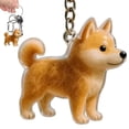 thumbnail image 1 of Dog Fur Keepsake, Dog Hair Collector Keychain, DIY Pet Fur Memory Capsule, Cute Dogs Hair Collector Keychain, Transparent Refillable Pet Furs Keepsake Storage, Gifts for Pet Lovers, Style C, 1 of 9