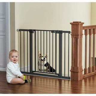 Dog gates sale walmart