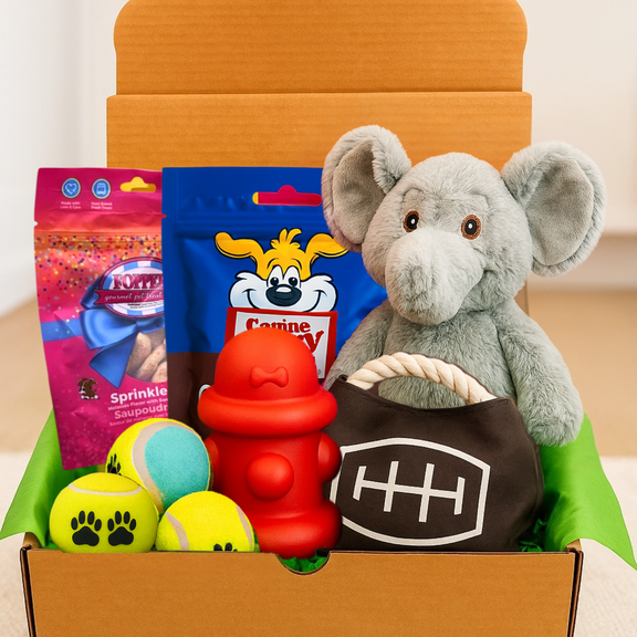 Dog Gift Box for Small and Medium Dogs Plush Toys, Chew Toys, Tennis Balls, and Healthy Treats Perfect Gift for Dog Birthdays, Holidays, and New Pet Owners