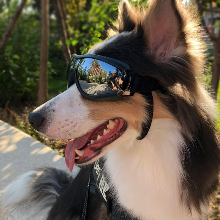 Dog Goggles Pet Sunglasses Dog Eye Protection Windproof Waterproof  Anti-breaking Sunglasses with Adjustable Strap for Large Dogs 