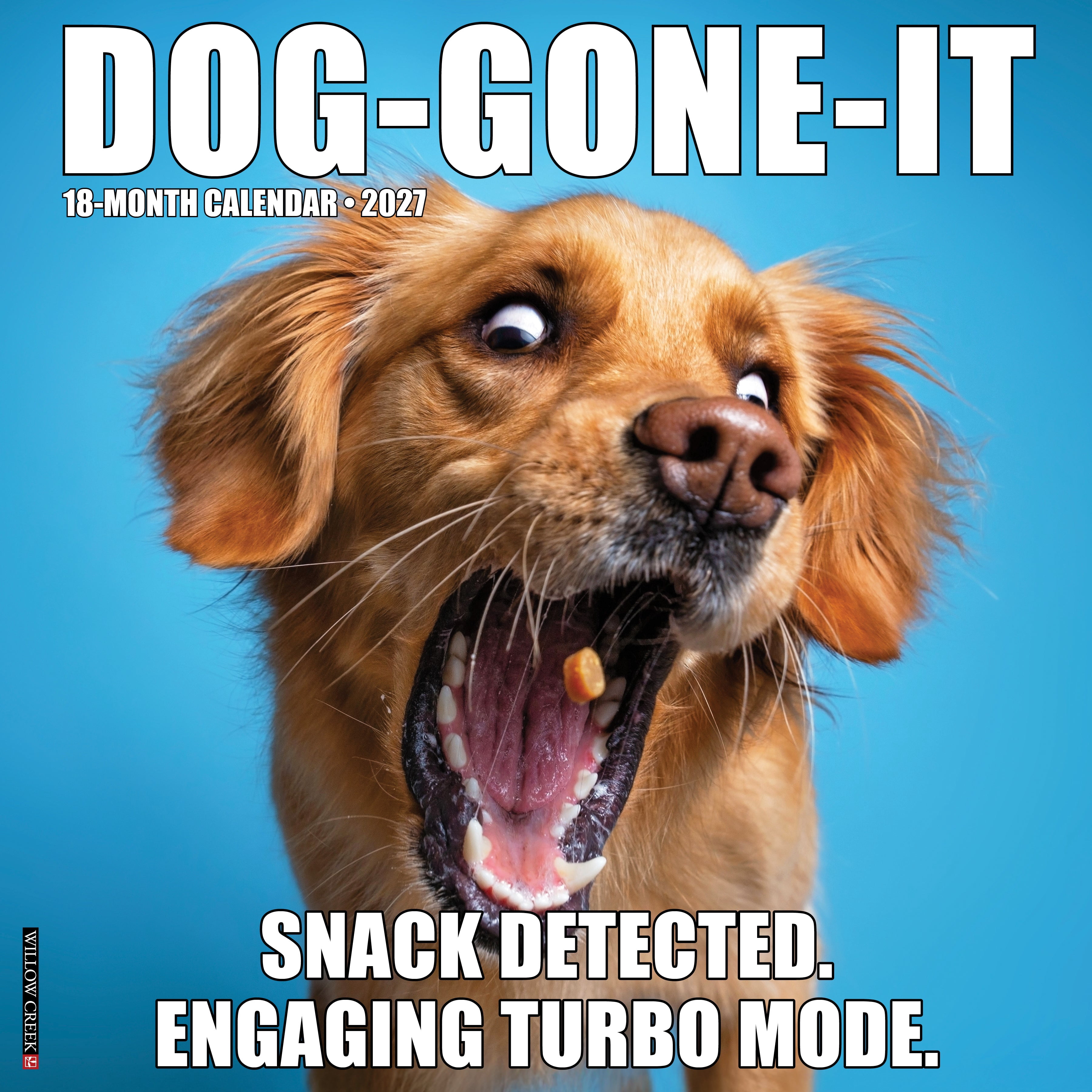 Willow Creek Press, Dog-Gone-It 2027 Wall Calendar