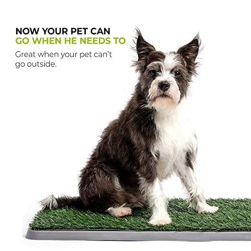 Dog Grass Pad Fake Grass for Dogs to Pee on, Indoor Dog Potty for Dogs