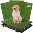 thumbnail image 1 of Dog Grass Pad with Tray, Reusable Training Pad with 3-Pack Replaceable Artificial Grass - Quick Absorbent Indoor Portable Dog Patio Potty, Washable Pee Pad for Puppy Training, 21"x17",Black, 1 of 9