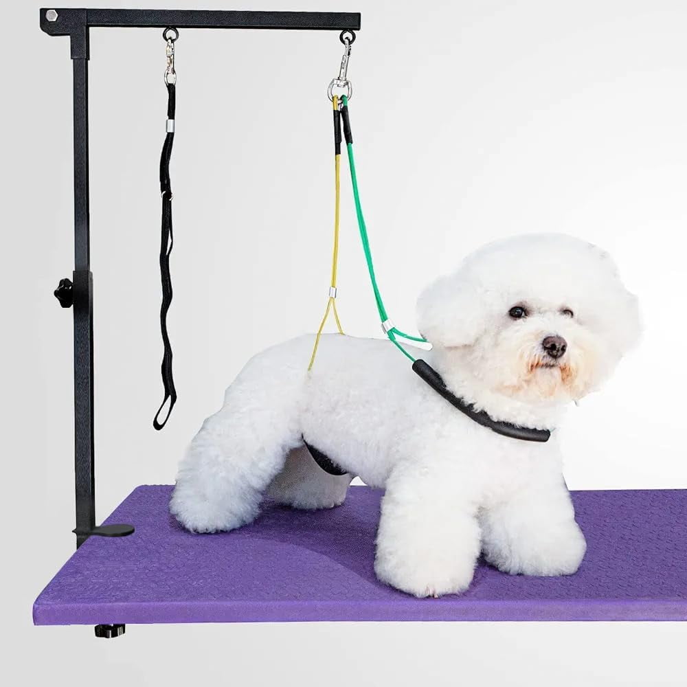 View of Dog Grooming Arm with Clamp,2 No Sit Haunch Holder&Loop Noose ...