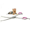 Dog Grooming Scissors Curved 7 Inch Stainless Steel with Safety Round