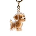 thumbnail image 1 of Dog Hair Collector Keychain Charm Memorial Storage Box, Pet Hair Memorial Keepsake, Transparent Cute Keychain, 1 of 8