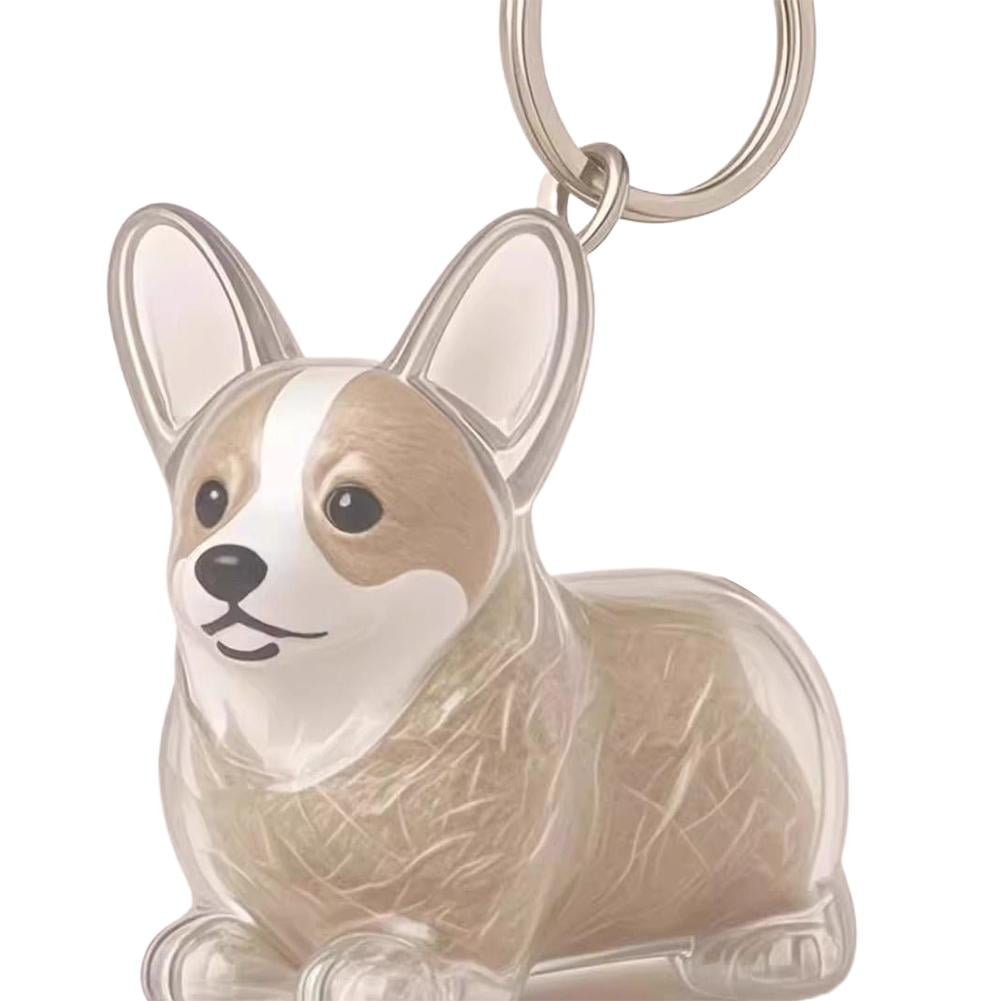 Dog Hair Collector Keychain Charm, pet fur Memorial Storage Box, Pets ...