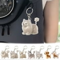 thumbnail image 1 of Dog Hair Collector Keychain Dog Keychain Dog Hair Collector Keychain Memorial Storage Box Pet Hair Memorial Keepsake Transparent Keepsake Keychain for Collecting Cat and Dog Hair, 1 of 4