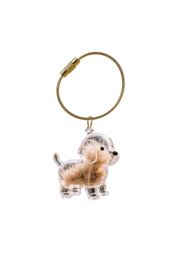 Dog Hair Keepsake Keychain - Pet Fur Memorial Capsule Pendant for Dog & Cat Lovers, Unique Pet Memorial Storage Box Keychain