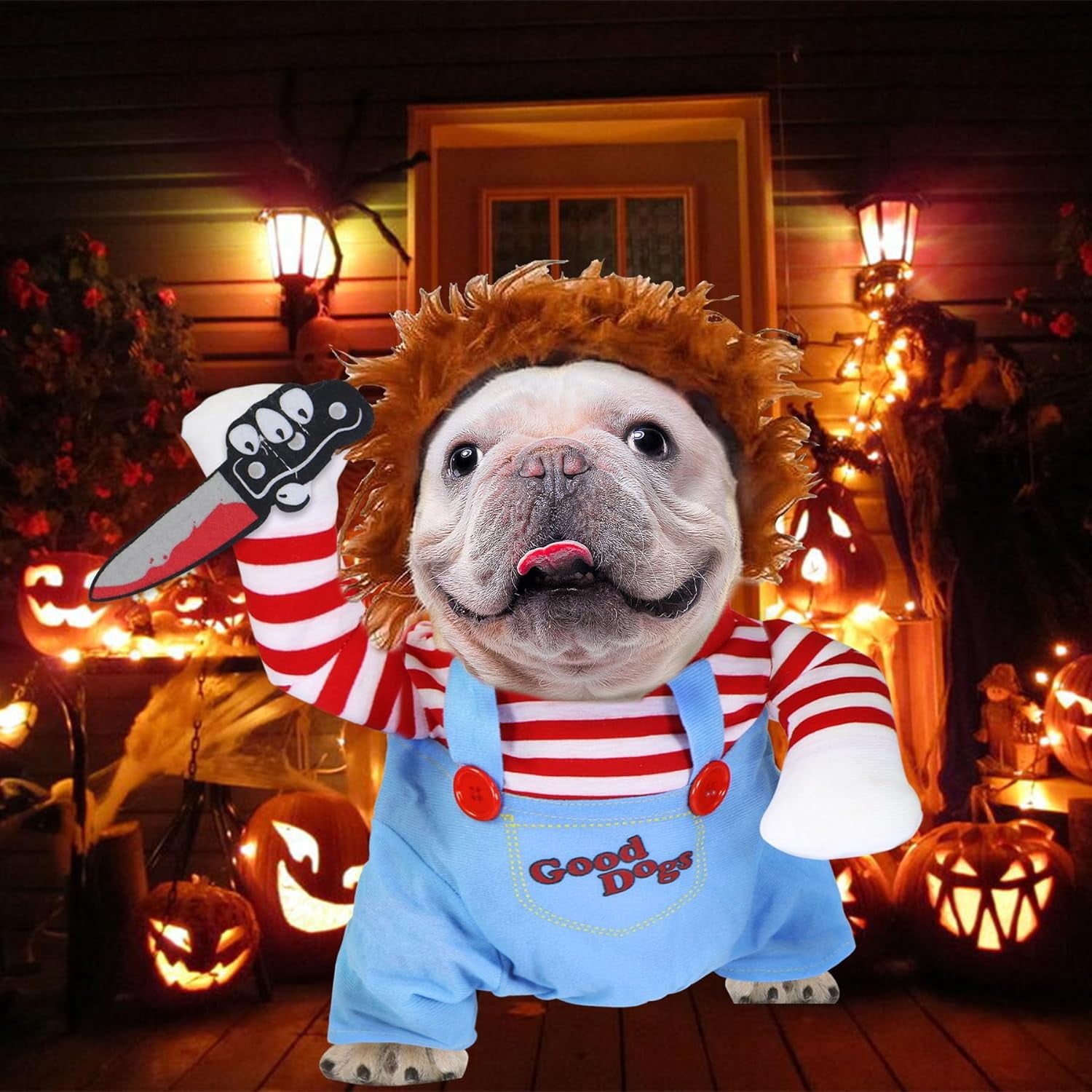 Dog Halloween Costumes, Pet Deadly Doll Dog Costume Funny Dog Costumes Dog  Halloween Costume Clothes for Small Medium Large Extra Large Dogs Pets