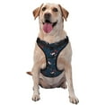 thumbnail image 1 of Dog Harness, Dachshund Dog Puppy No.1032 No Pull Pet Harness Dog Leash, Step-in Dog Vest Harness, No Choke Reflective Adjustable Puppy Vest for Small Medium Large Dogs, 1 of 6