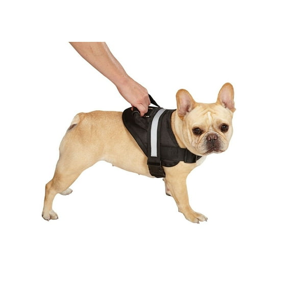 Dog Harness Deluxe Easy Grab Padded Handle Reflective Strip Working or Walking (Small)