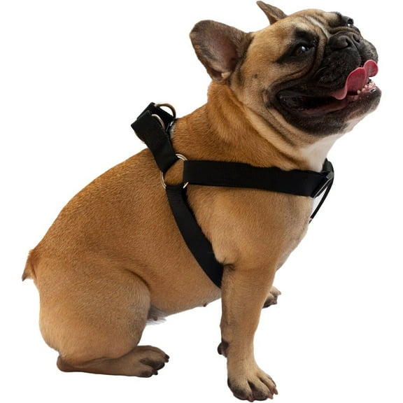 Dog Harness Easy to Use 2 Step Secure Safe Comfortable Firm No Struggle Control (Black,Small 9 to 15 Inch Chest)