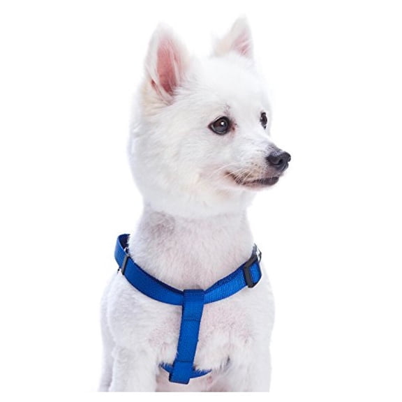 Dog Harness Easy to Use 2 Step Secure Safe Comfortable Firm No Struggle Control (Blue,Medium 15 to 25 Inch Chest)