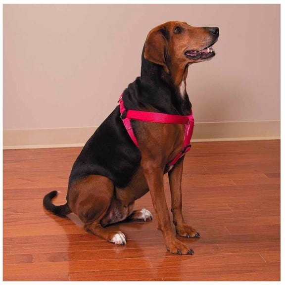 Dog Harness Easy to Use 2 Step Secure Safe Comfortable Firm No Struggle Control (Bright Pink,Small 9 to 15 Inch Chest)