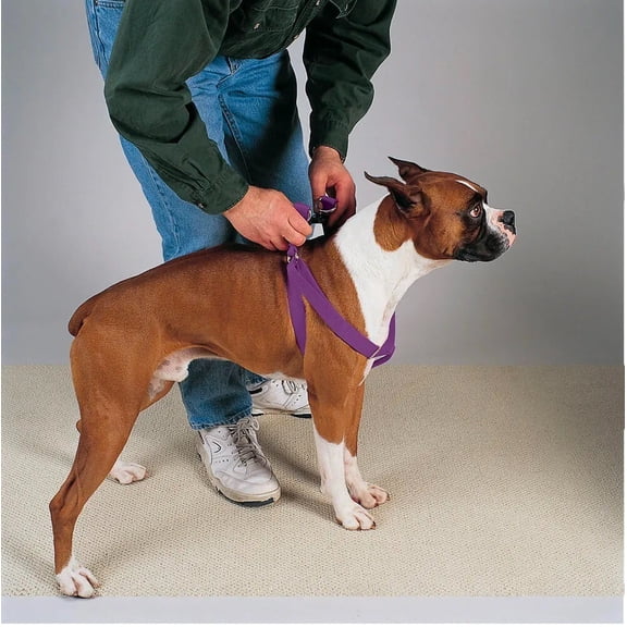 Dog Harness Easy to Use 2 Step Secure Safe Comfortable Firm No Struggle Control (Purple,Large 25 to 40 Inch Chest)