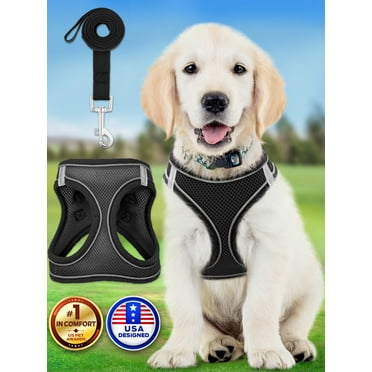 Dog Harness Including Leash (Small, Black), Soft-Padded W/ Reflective Strips for Running, Hiking & Training by EcoEarth