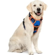 rabbitgoo Dog Harness, No-Pull Pet Harness with 2 Leash Clips, Adjustable Soft Padded Dog Vest, Reflective Outdoor Pet Oxford Vest with Easy Control Handle for Large Dogs, Blue & Orange