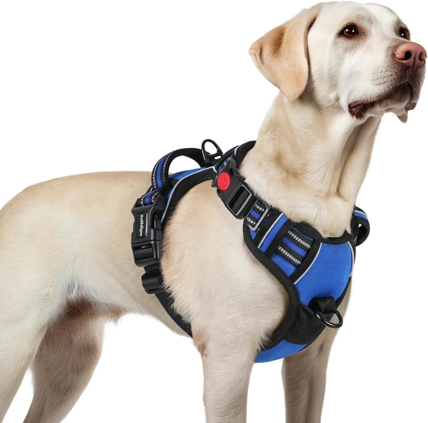 Dog Harness for Large, No Pull Pet Harness with 3 Buckles, Adjustable Soft Padded Vest with Control Handle, Walking Reflective Pet Vest for Large Dogs, Blue, L