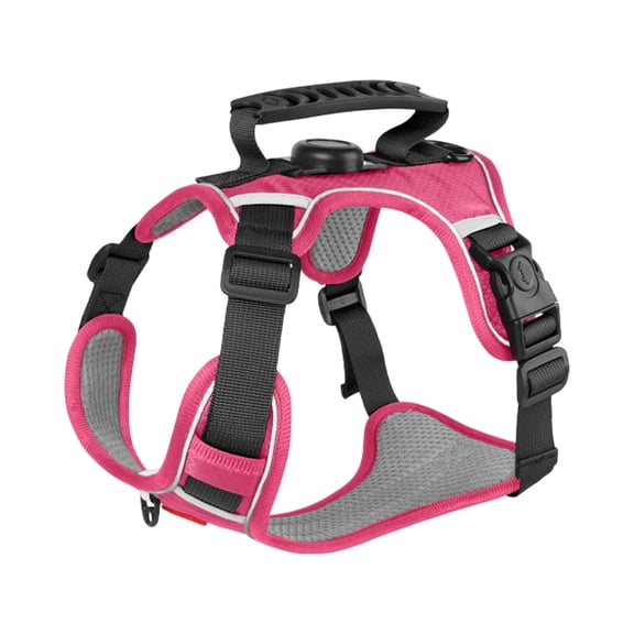 Dog Harness with Leash, Adjustable Pet Chest Strap, Anti-Pull Dog Vest with Locator Pocket, XS Size for Small Dogs, Comfortable No-Choke Pet Walking Harness for Training & Daily Use