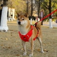 thumbnail image 1 of Dog Harness and Leash Combo No Pull Dog Harness Step In Dog Vest Harness Reflective Adjustable Soft Padded Pet Harness with 5ft Leash Red Size L for Medium Large Dogs Walking Training, 1 of 9
