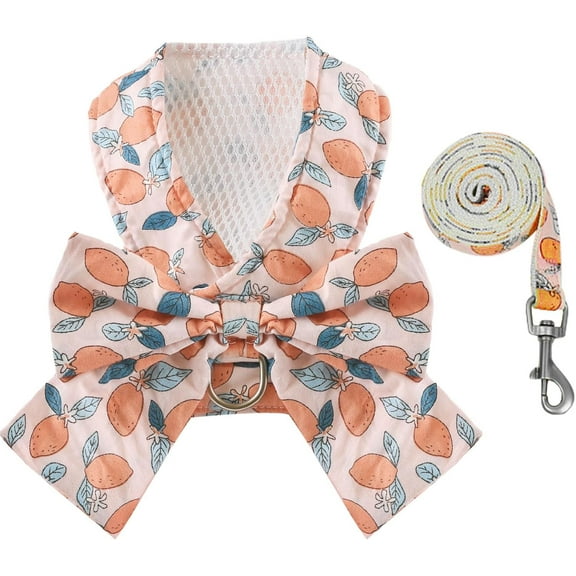 Dog Harness and Leash Set with Bow Knot No Pull Pet Daisy Floral Harness with D-Ring Soft Mesh Dog Harness Vest Set Escape Proof Princess Puppy Harness for Small Girl Dogs Cats（Pink XS）