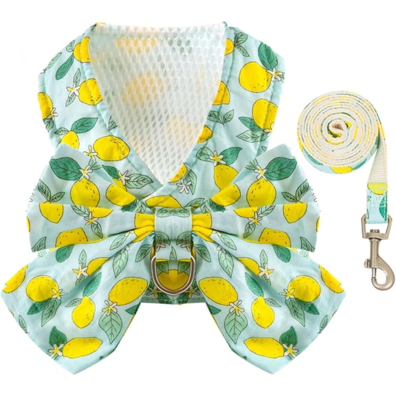 Dog Harness and Leash Set with Bow Knot No Pull Pet Daisy Floral Harness with D-Ring Soft Mesh Dog Harness Vest Set Escape Proof Princess Puppy Harness for Small Girl Dogs Cats