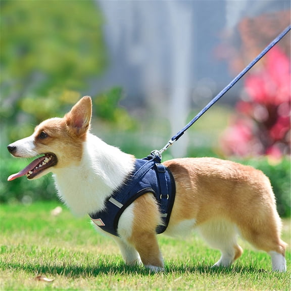Dog Harness and Leash Set No Pull Adjustable Reflective Soft Mesh Vest Step In Pet Collar for Small Dogs Puppies Yorkie Chihuahua Cats Comfortable Secure Walk