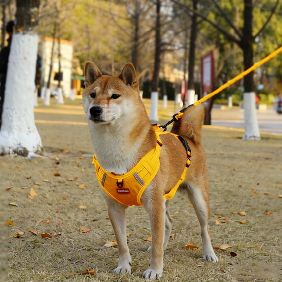 Dog Harness and Leash Set No Pull Dog Vest Harness Adjustable Soft Suede Reflective Breathable Pet Harness with 59in Leash XL for Medium Dogs Walking Training Outdoor Yellow