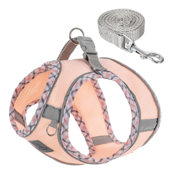 Dog Harness and Leash Set, No Pull Pet Harness for Small Dogs Easy Walking,Soft Breathable Small Dog Harness,Adjustable Reflective Step in Vest Harness for Puppy,Kitten, Cats
