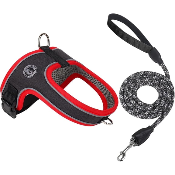 Dog Harness and Leash Set, No Pull Saddle Style Pet Harness, Breathable Mesh Adjustable Reflective Dog Vest for Dogs and Cat Medium Small Harness 2 D-Rings (Black, XS)